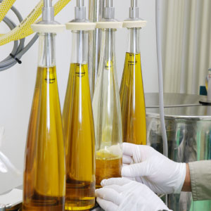 菜種油製造工程1